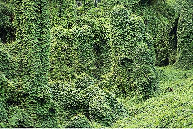 《战地6》B测已检测出超33万次作弊 EA呼吁玩家举报