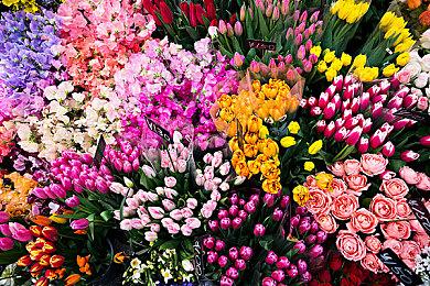 恐怖冒险游戏《蔑视》秋季登陆PS5 玩家数突破200万