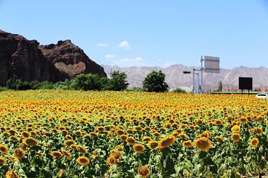 Steam新游周报:《要塞十字军东征》D&D等多款经典大作回归