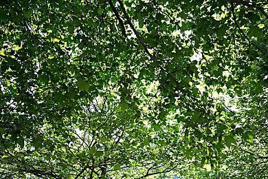 KK对战平台新图推荐！小偷狂潮+逆天吞噬，双倍上头停不下来！​